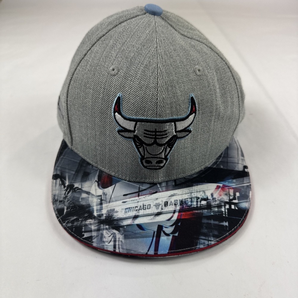 Chicago Bulls SnapBack Hat Gray NBA Basketball City Art Promo Melonwear Cap Blue